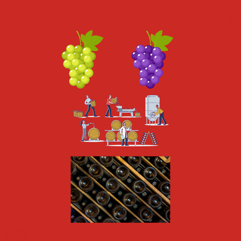Origines des arômes du vin